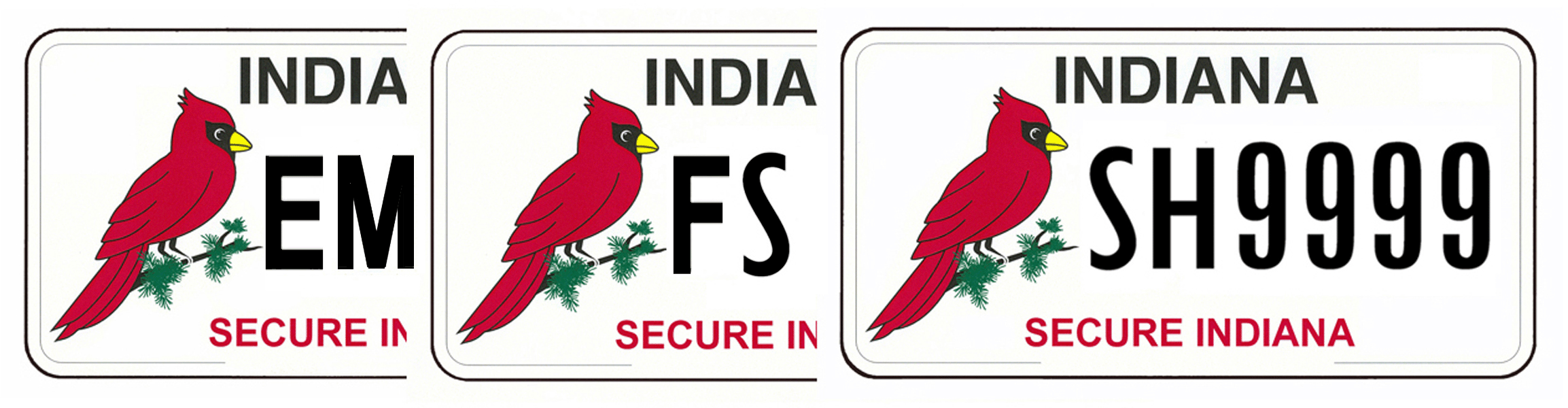 Homeland Security Foundation License Plates